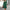 Damen Minikleid mit elegantem Wickeldetail und langen Puffärmeln W&W