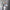 Damen Sportliches Zweiteiler-Set mit Crop-Top und weitem Schnitt WW