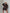 Damen sportlicher Zweiteiler mit cropped Jacke und Shorts WW