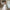 WW | Elegante Frauen Hochzeit Off-neck Kleid