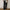 Damen Weite Hochtaillierte Stoffhose mit elegantem Gummibund WW