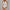Damen Spitzen-Bodysuit mit raffiniertem V-Ausschnitt und verführerischen Details WW