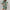 WW | Sommer Druck Shirt Shorts Locker Casual Zweiteiliges Set