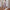 Damen weite Faltenhose WW