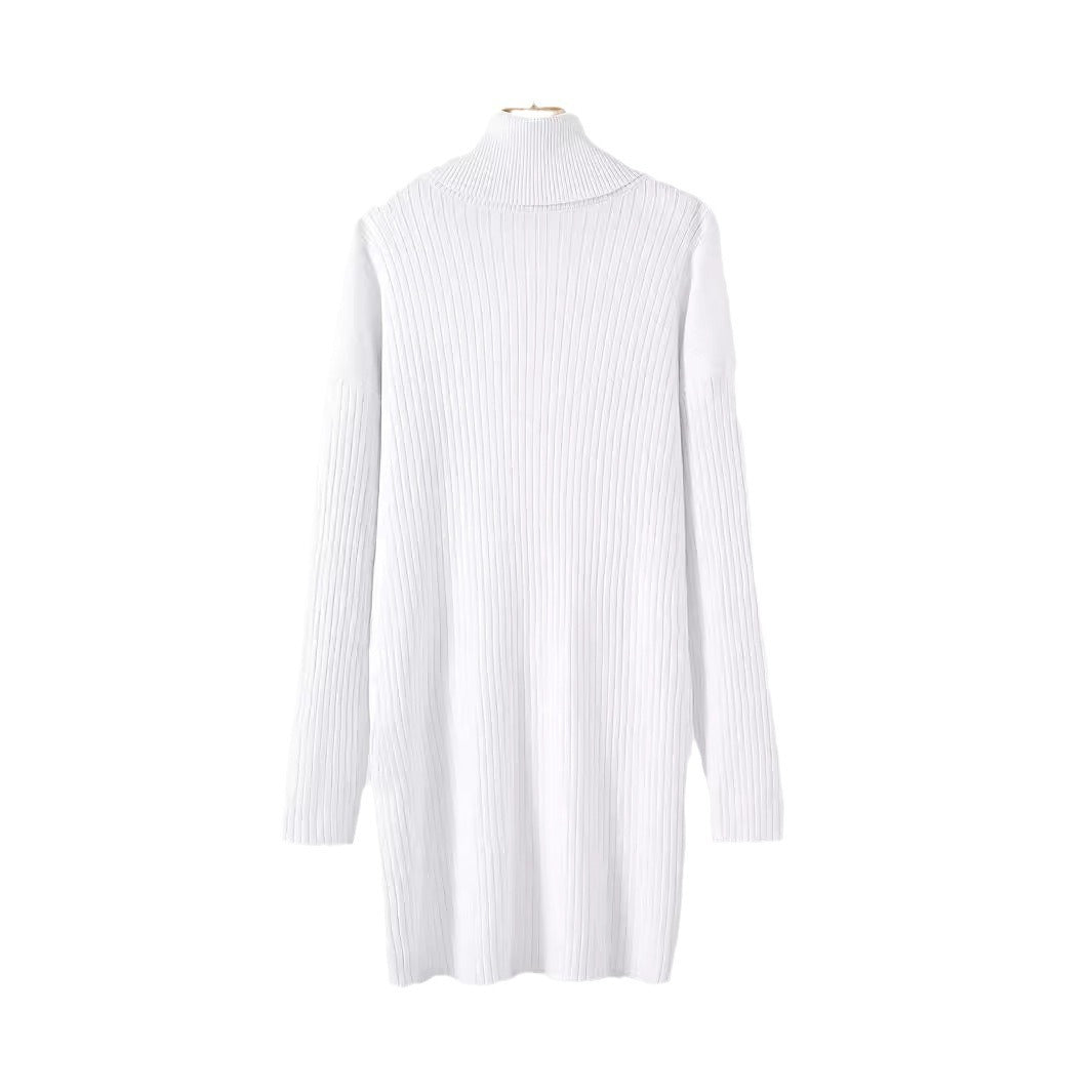 Damen Strickkleid mit hohem Kragen und feinem Rippenmuster WW