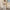 Damen bequeme und stylische Sweatshirt-Hose-Kombination WW