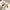 Damen Modische Mules mit elegantem V-Ausschnitt W&W