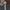 Damen Bequemer Sportanzug mit weitem Schnitt und modischen Details WW