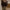Damen Strickpullover mit V-Ausschnitt und Zopfmuster WW