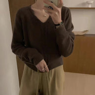 Damen Strickpullover mit V-Ausschnitt und Zopfmuster WW