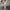 Damen Oversized Sweatshirt mit gestepptem Design und Komfort Fit WW