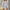 Damen sportliche Shorts mit elastischem Bund und seitlichen Taschen WW