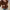 Damen Strickjacke mit floralen Applikationen und Knopfdetails WW