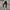 WW Hosen in reiner Farbe mit Temperament