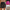 Damen High-Waist Shorts aus weichem Kunstleder mit Bundfalten WW