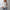 WW | Langarm Strickjacquard Knopfoberteil