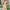 Damen Elegantes Maxikleid mit durchgehender Knopfleiste und asymmetrischem Schlitz WW