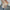 Damen asymmetrisches Rippenstrickoberteil WW