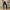 Damen Sportliche High-Waist Hose mit seitlichen Kontraststreifen W&W