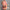 Damen asymmetrisches Minikleid mit dekorativem Schulterdetail und elegantem Design WW