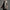Herren Trenchcoat mit modischem Schnitt und funktionalen Taschen WW