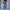 Damen weite High-Waist Jeans mit ausgefranstem Saum WW