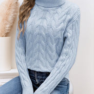 Damen Rollkragenpullover mit strukturiertem Zopfmuster WW