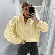 Damen Strickpullover mit Stehkragen WW