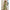 Damen Palazzo Jumpsuit mit floralen Mustern und elastischem Oberteil WW