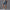 Damen Rad-Shorts mit hohem Bund und praktischen Seitentaschen WW