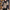 Damen Strickoberteil mit V-Ausschnitt und sportlichem Muster WW