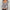 Damen Langarmshirt mit camouflagemuster WW