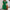 WW | Taillienverstellbares Ein-Schritt Rock Kurzarm Polyester Kleid