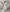 Damen sportliches Freizeit-Set mit cropped Hoodie und weiten Hosen WW
