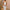 Damen Abendkleid W&W