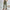 WW – Einfarbige Freizeithose