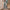 Damen Oversized Jumpsuit mit Puffärmeln und elastischem Taillenbund WW