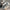 Damen Sneakers im sportlich-eleganten Design mit komfortabler Sohle W&W
