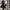 Herren Trenchcoat mit doppelter Knopfleiste und urbanem Design WW