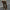 Damen Weite Cordhose mit Falten WW
