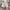 Damen Glitzernde Shorts mit elastischem Bund WW