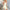 Damen A-Linien Kleid mit quadratischem Ausschnitt und weitem Rock WW