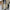 Damen Bequeme weit geschnittene Hose aus hochwertigen Materialien WW