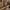 WW | Damen Flirty Sheer Mini Dress mit Schimmernden Silbernen Spitzen Details
