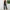 Damen Elegante Jumpsuit mit Schleifenkragen WW