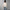 Damen Strickjacke mit Rundhalsausschnitt und Knopfleiste WW