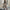 Damen elegantes Midi-Kleid mit Blumenmuster und Schleifendetails WW