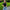 Damen figurbetontes T-Shirt mit feiner Rippstruktur und Rundhalsausschnitt WW