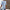 WW V-Ausschnitt Asymmetrisches Streifen-Patchwork-Top