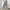 Damen weite Plisseehose mit elastischem Bund und modischem Muster WW